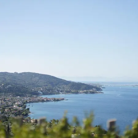 Vigilia Νικιάνα