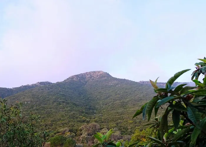 Vigilia Villa Nikiana