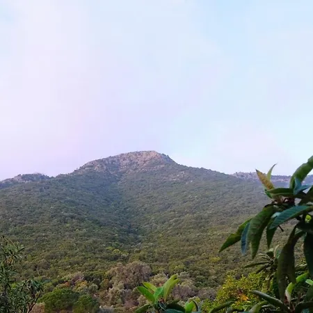 Vigilia Willa Nikiana